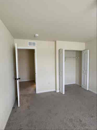 Roommate wanted!