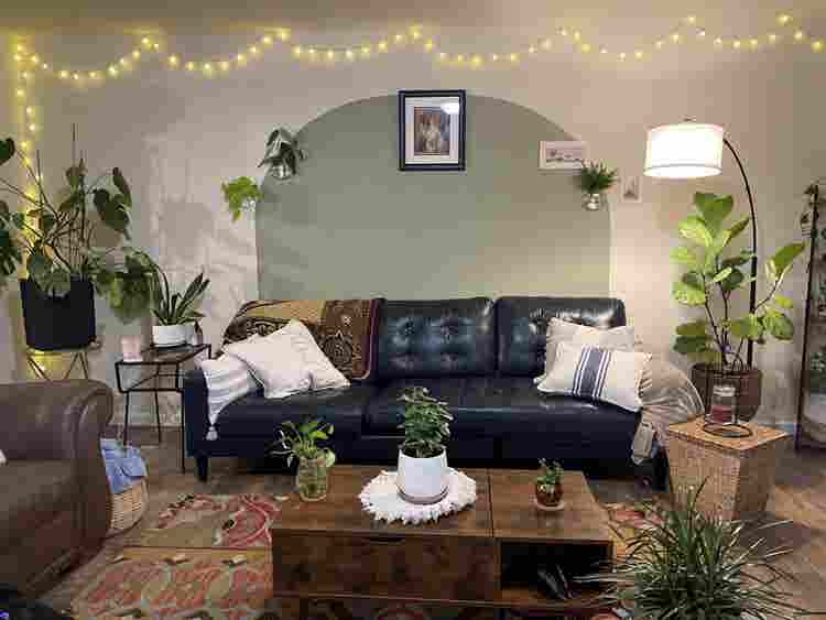 Roommate wanted!