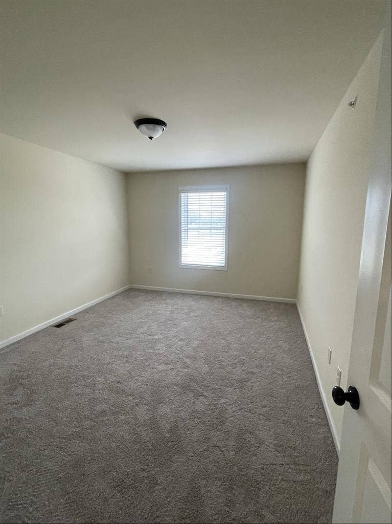 Roommate wanted!