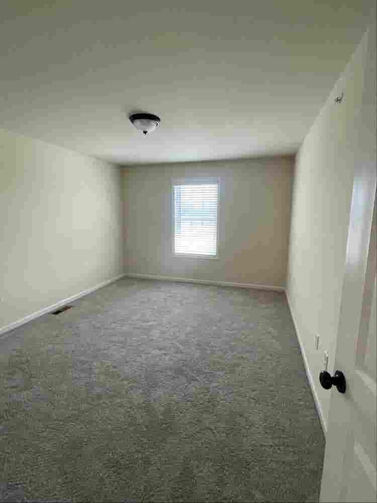 Roommate wanted!