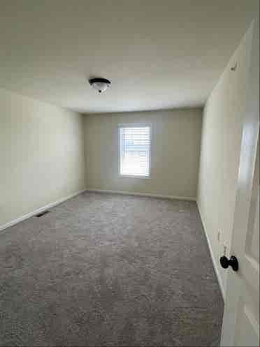 Roommate wanted!