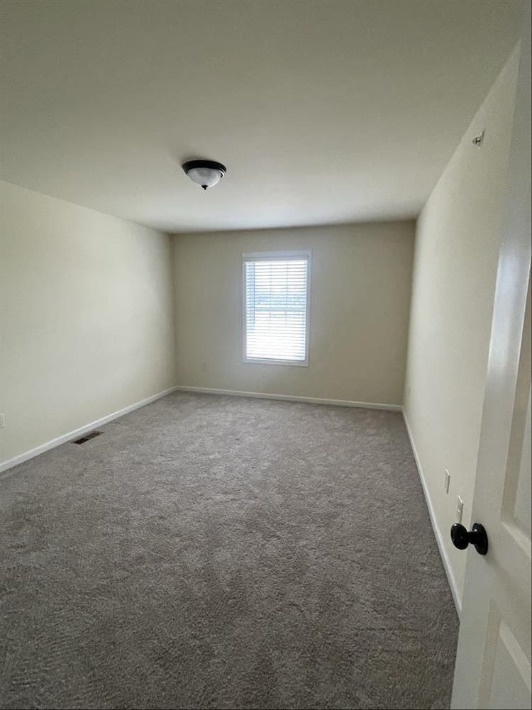 Roommate wanted!