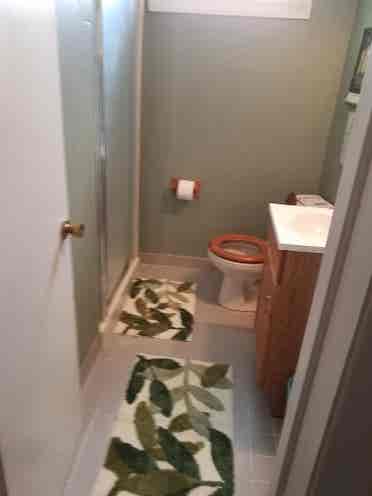 Beautiful large room in Pikesville