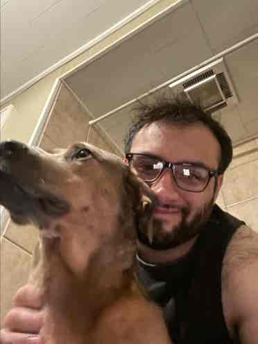 Roommate wanted