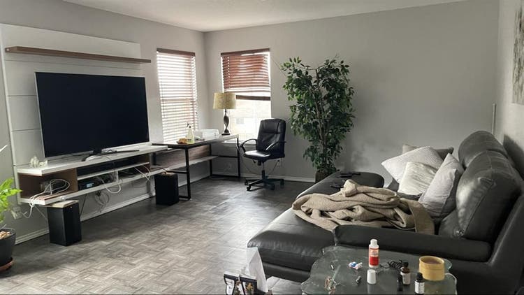 Professional roommates