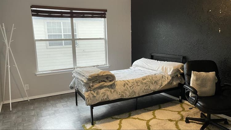 Professional roommates
