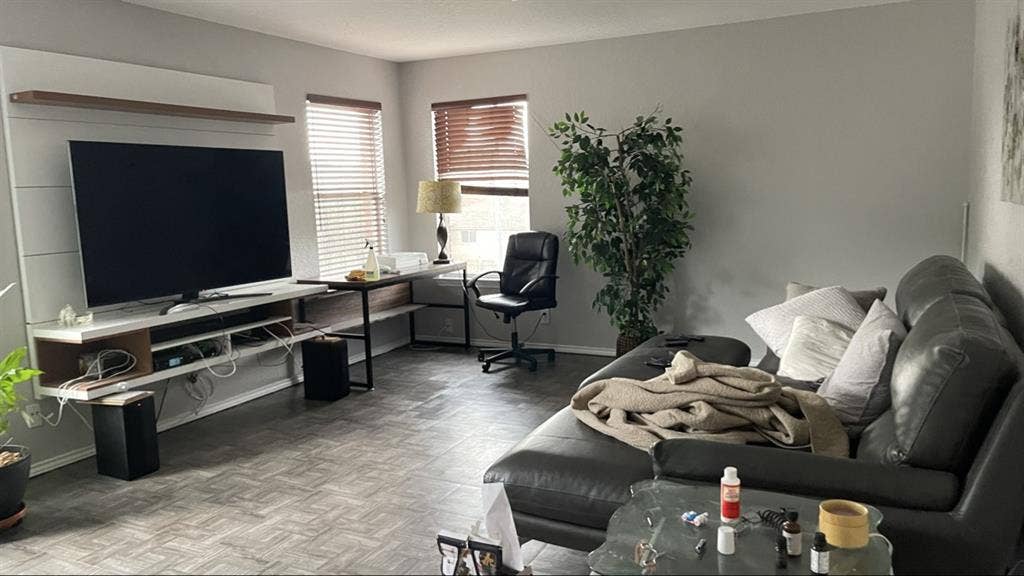Professional roommates