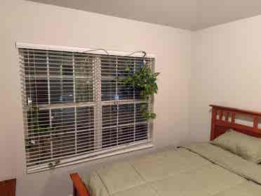 Room - Brandon - /mo - Gated