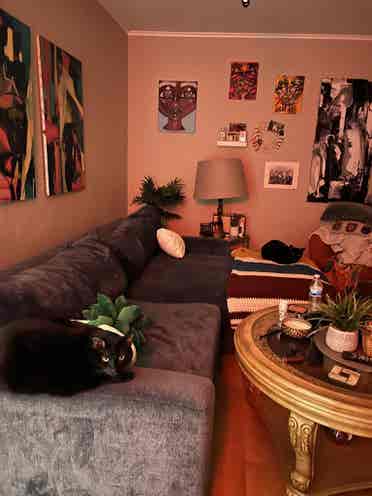 All girls house