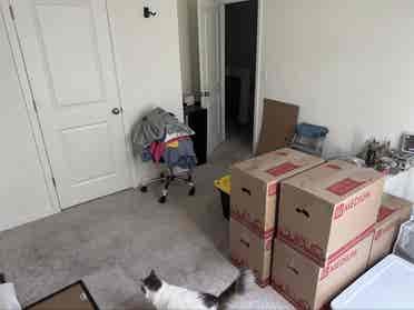The Girlie’s house