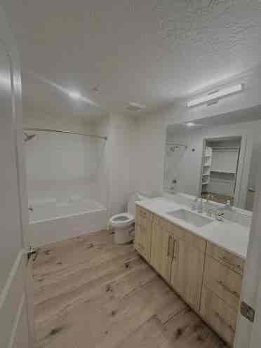 LOOKING FOR ROOMMATE
