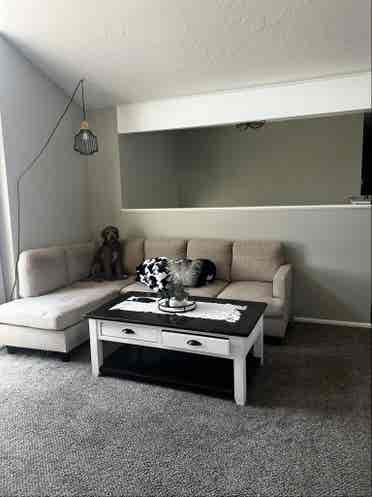 Basement for rent