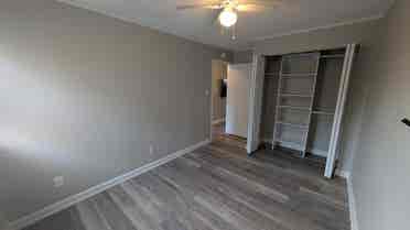 Remodeled 2BR - Walk/Bus to Campus