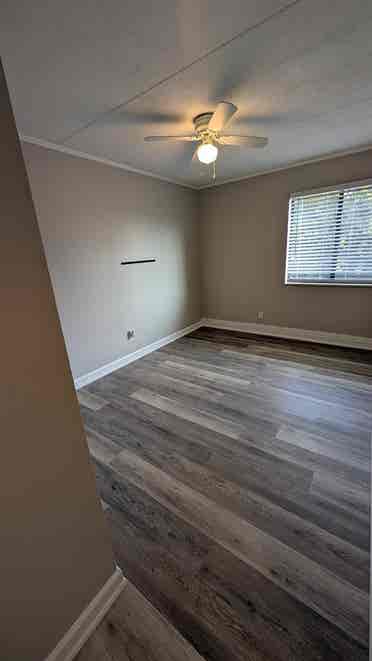 Remodeled 2BR - Walk/Bus to Campus