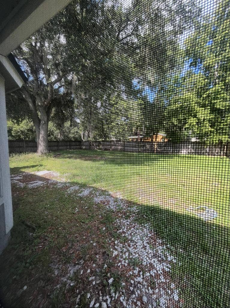 Roommate wanted
