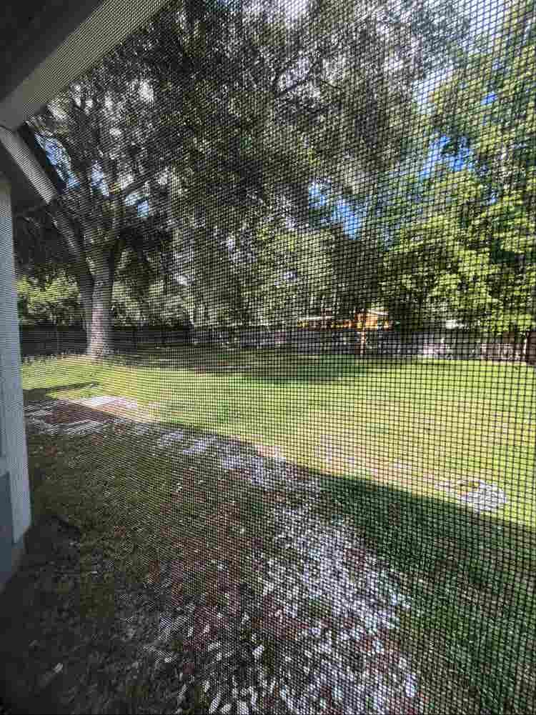 Roommate wanted
