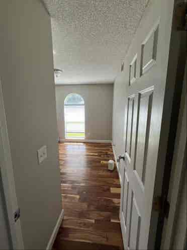 Roommate wanted