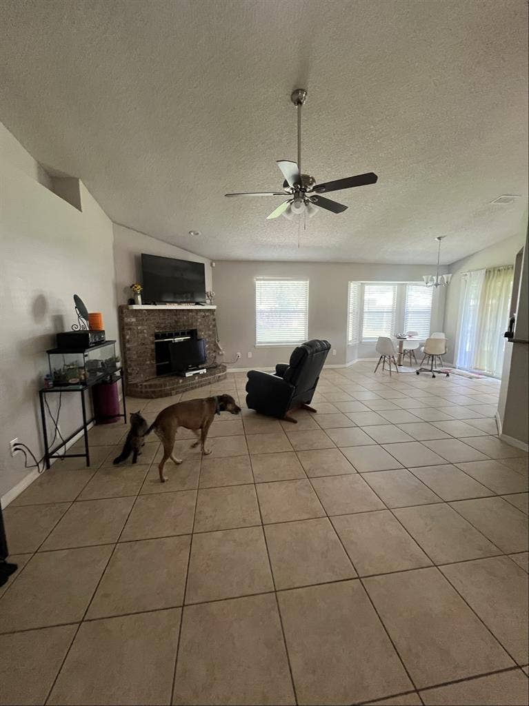 Roommate wanted