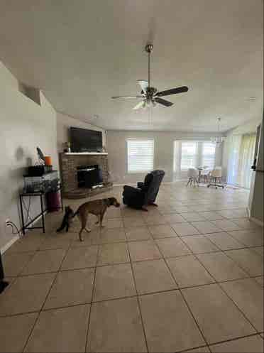 Roommate wanted