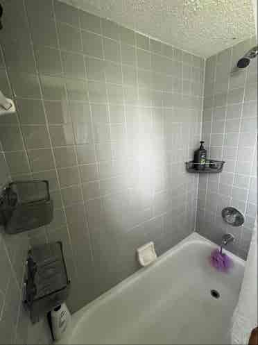 Roommate wanted