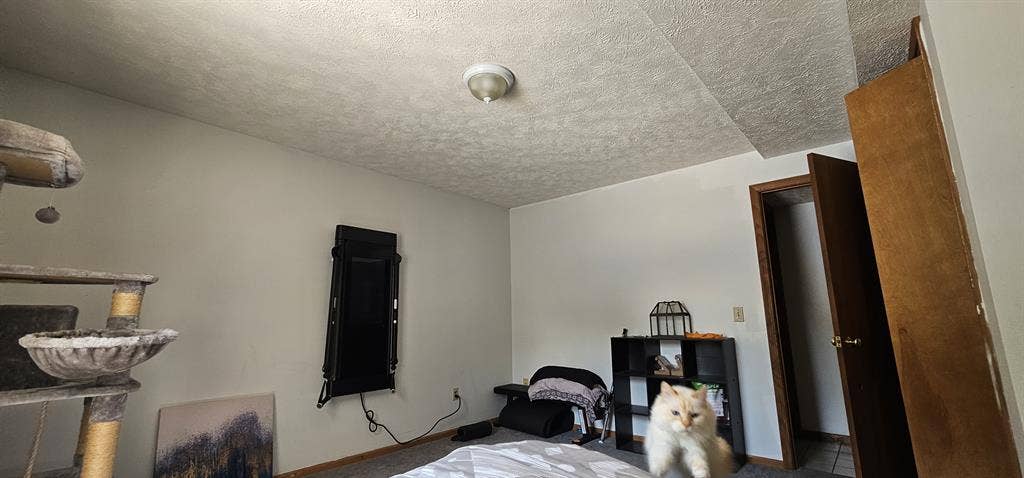 Room in Rockford, MI