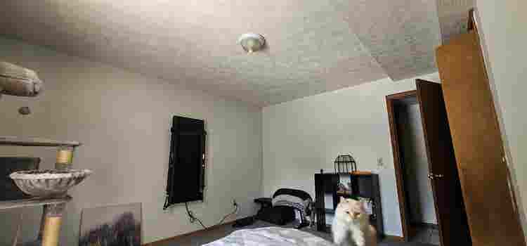 Room in Rockford, MI