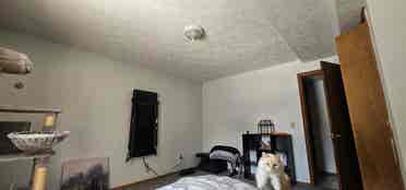 Room in Rockford, MI