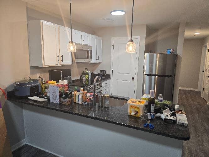 Looking for a Friendly Roommate