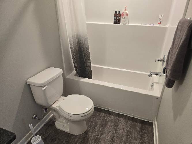 Looking for a Friendly Roommate
