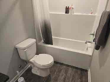 Looking for a Friendly Roommate