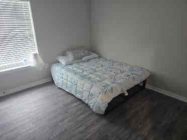 Looking for a Friendly Roommate