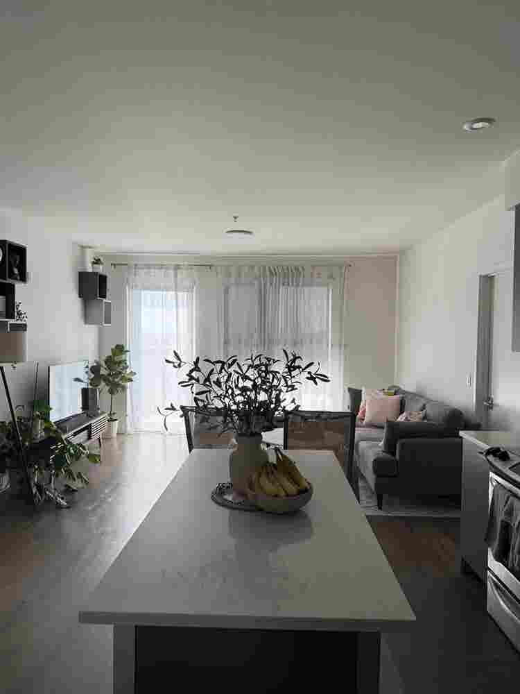Bath Apartment available