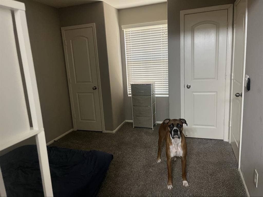 1 medium size room with own bath