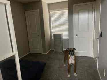 1 medium size room with own bath