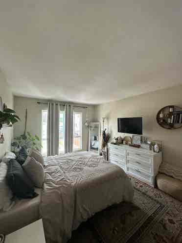 Female roommate wanted in Hillcrest