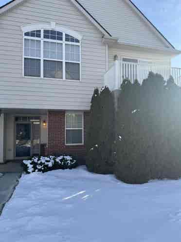 Looking for roommate
