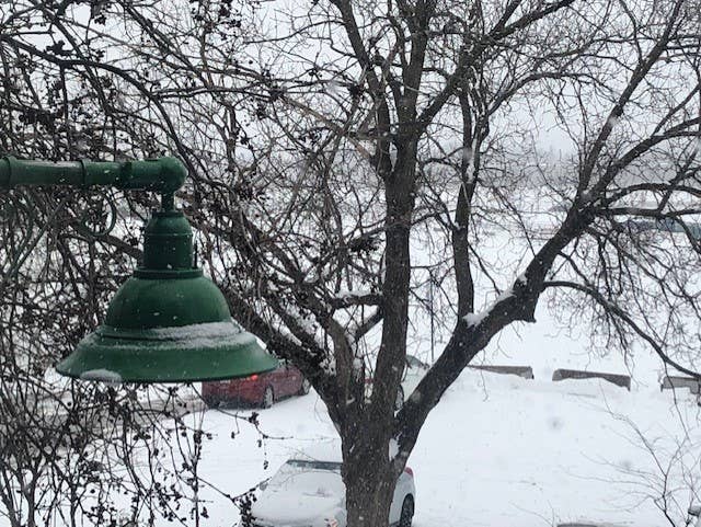 COLOC: huge app. by OUTREMONT metro