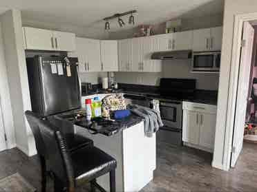Looking for roommate!