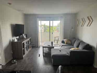 Looking for roommate!