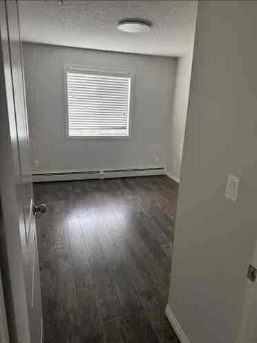 Looking for roommate!