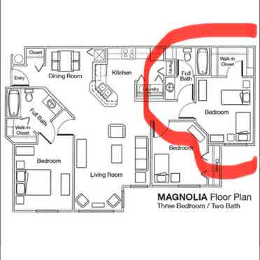 Female Roommate – $ Rent
