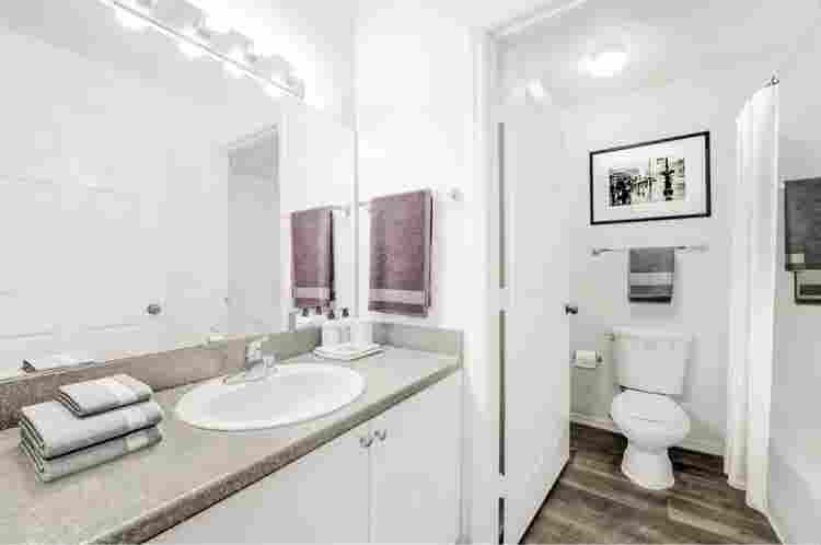 Female Roommate – $ Rent