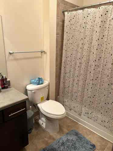 Looking for 2 female roommates!!