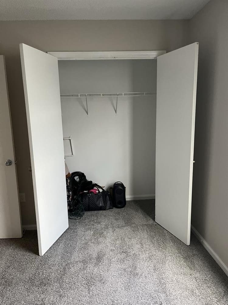 Hey I’m Cali looking for a Roomate