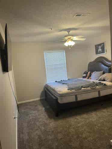 Hey I’m Cali looking for a Roomate