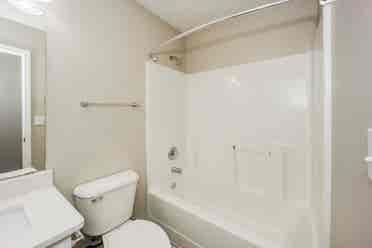 Room for rent in spacious home