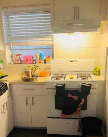 Roommate in North Miami Beach