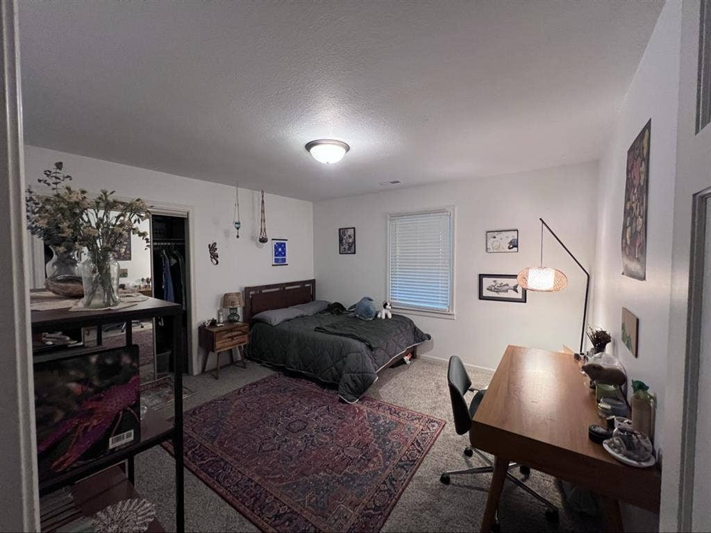 Seeking female grad student roomie