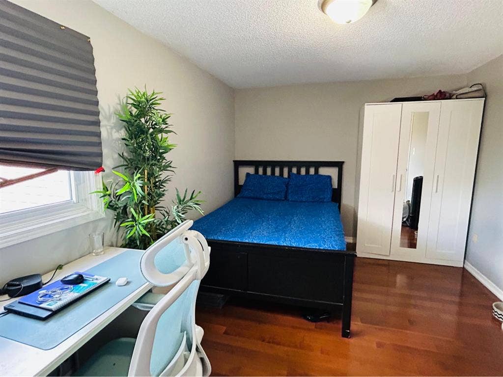 Hamilton home available for rent