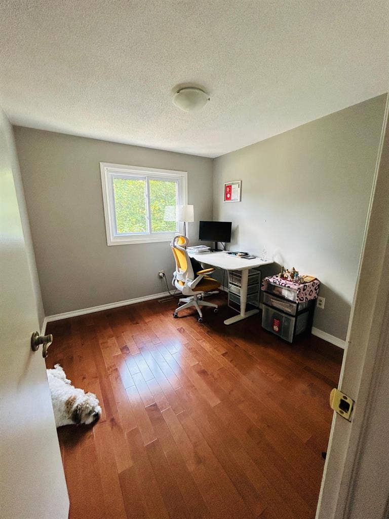 Hamilton home available for rent